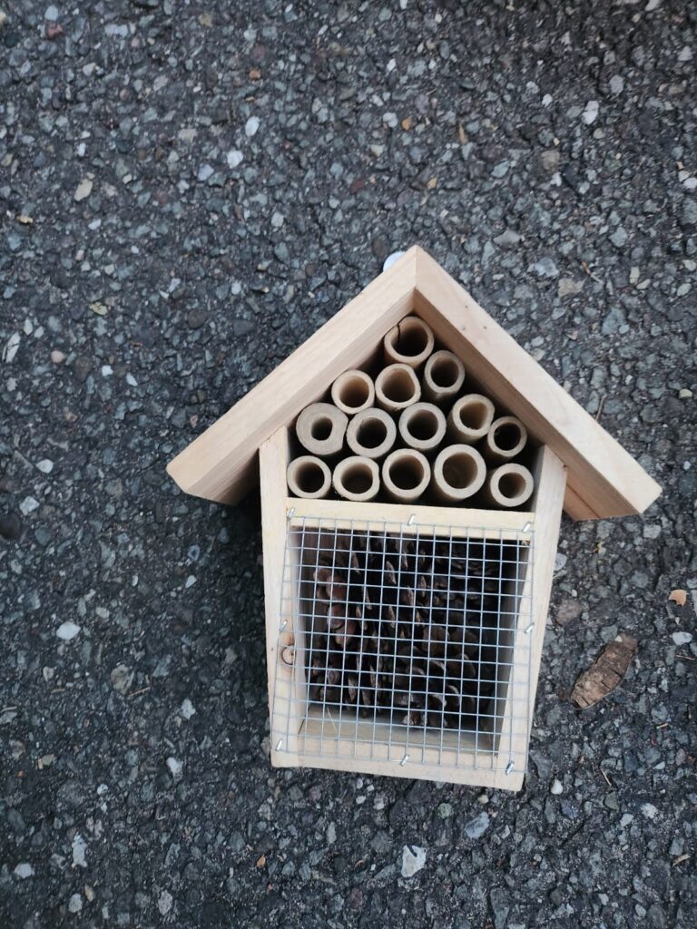 insectenhuisje